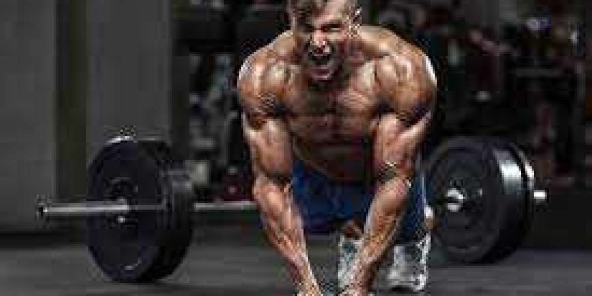 Best Testosterone Boosters: Top 5 Supplements For Men 2022