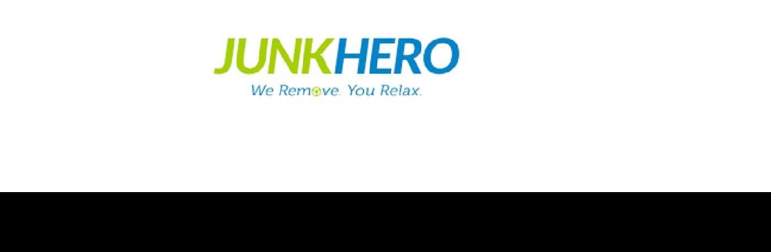 Junk Hero Cover Image