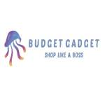 Budget Gadget Profile Picture