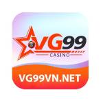 VG99VN NET Profile Picture
