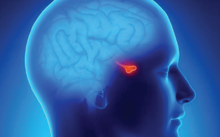Dr. Danendra Sahu - Endocrinologist in delhi