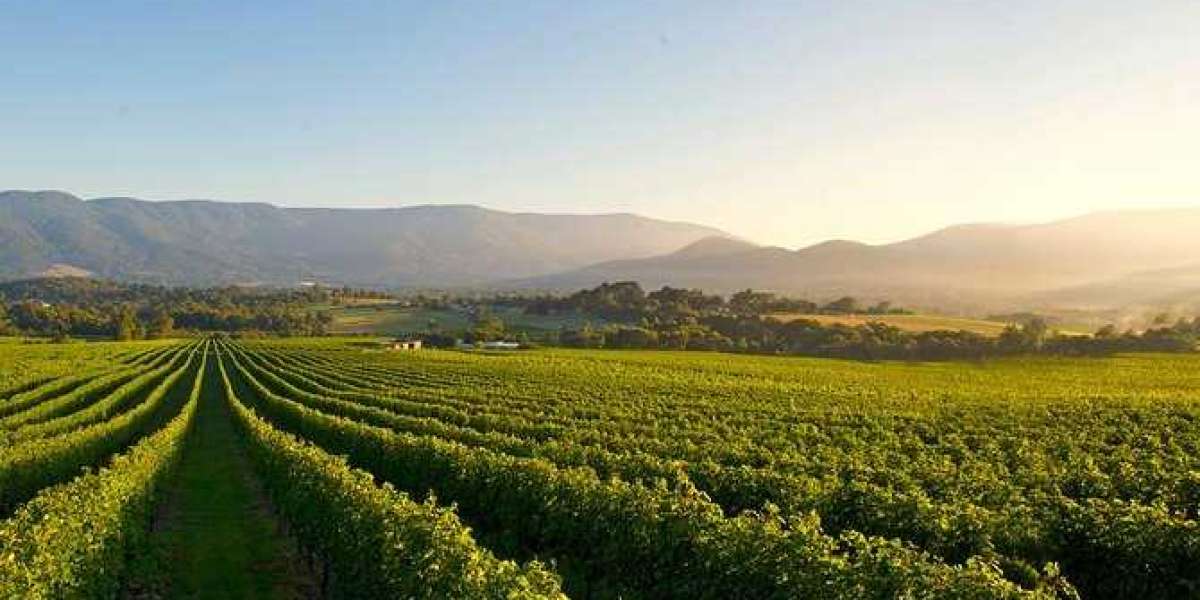 How Can You Make the Most of a Weekend Getaway to a Winery in Victoria, Australia?