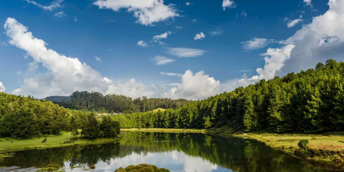 Top Ooty Tour Packages for a Memorable Hill Station Experience!