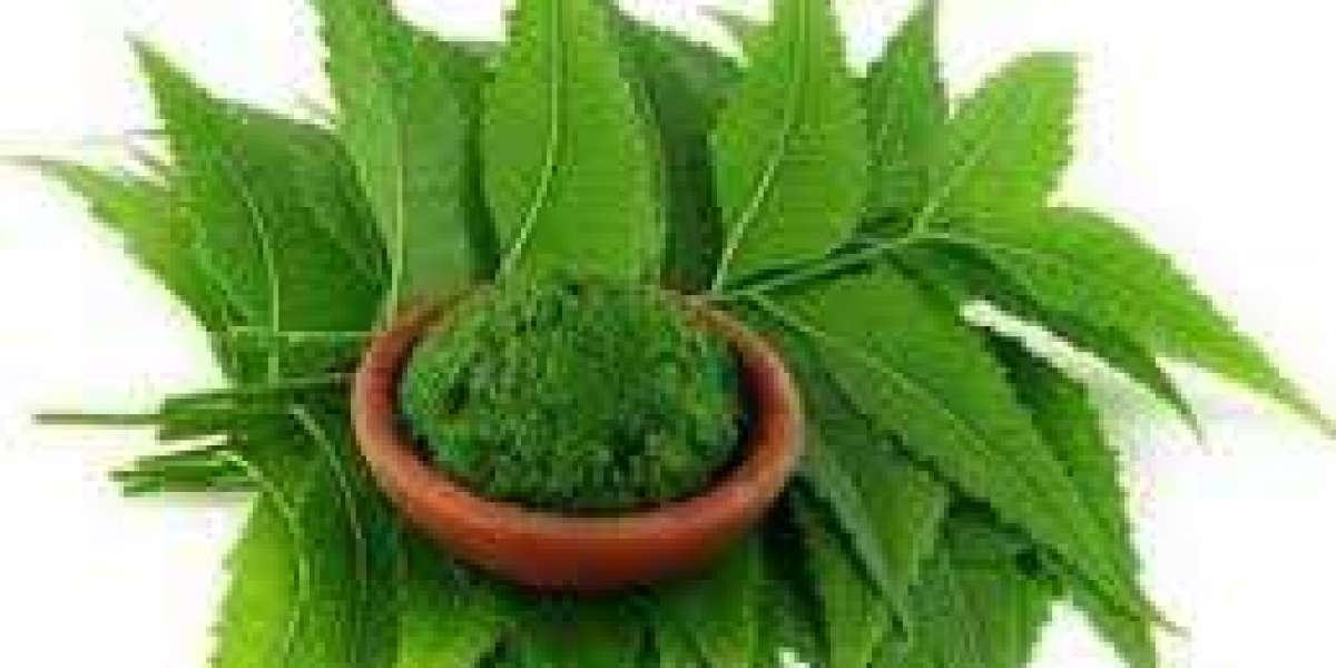 Global Neem Extract Market Revenue, Outlook Forecast - 2033