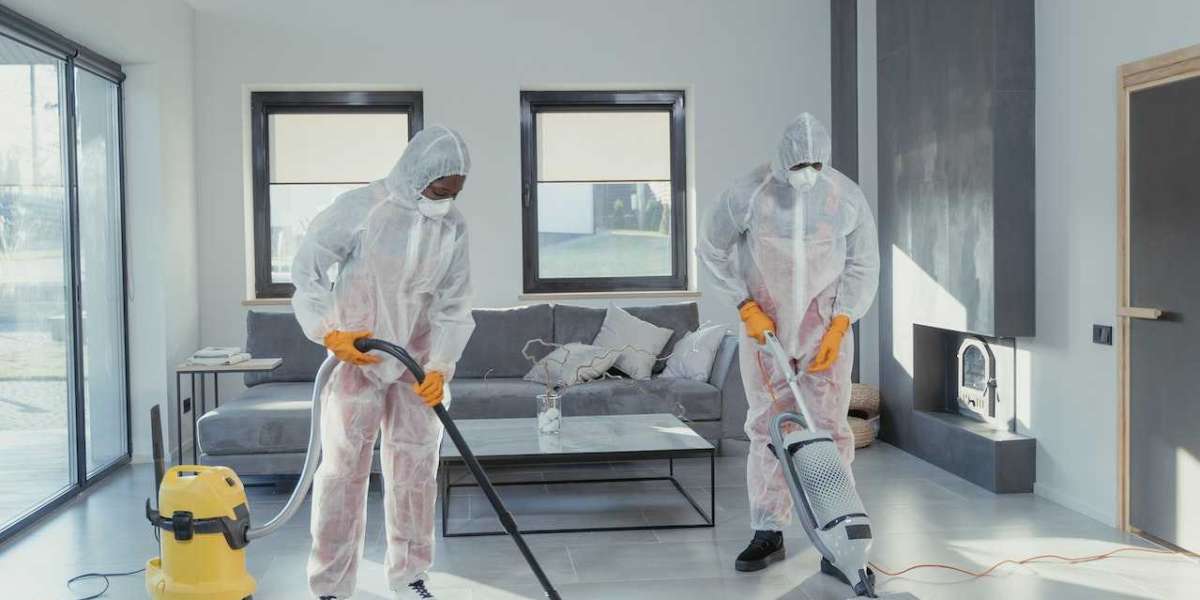 Elevate Your Home with Professional Carpet Cleaning Solutions