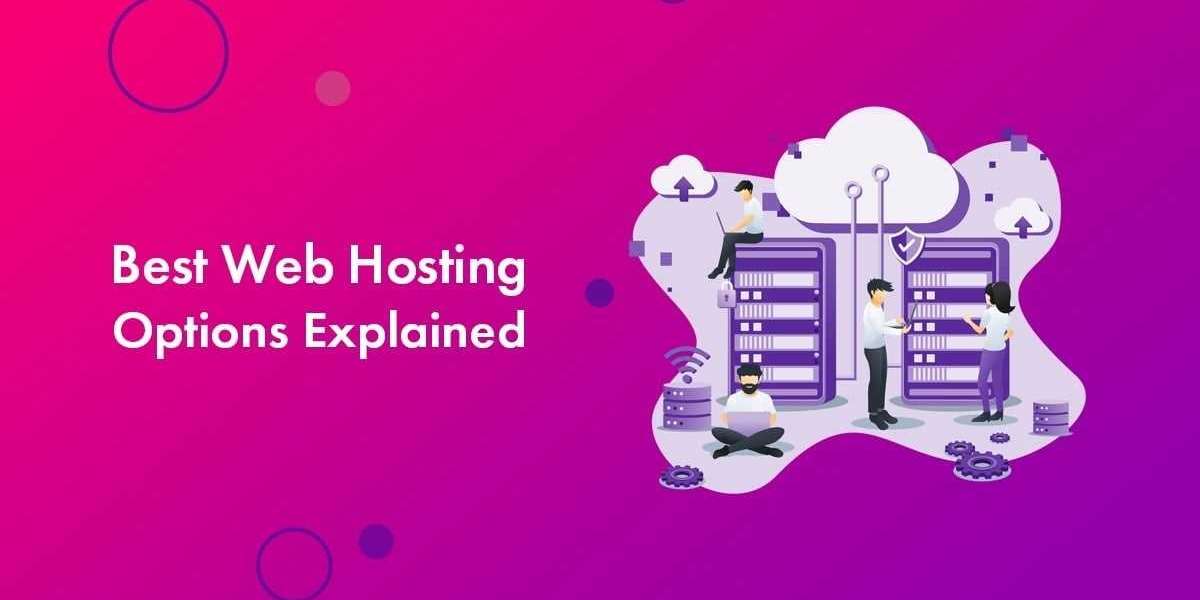 Best Web Hosting Services in India 2024: Top Providers for Domain and Hosting