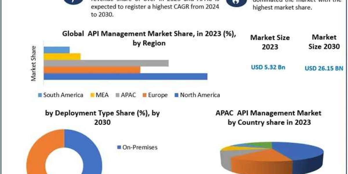 API Management Market Growth Rate, Revenue Analysis And Leading players