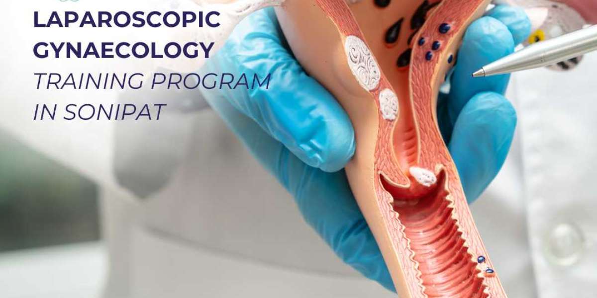 Laparoscopic Gynaecology Training Program in Sonipat