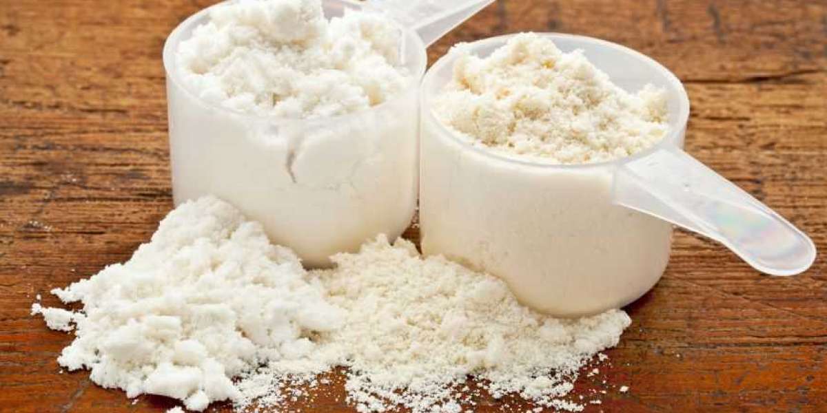 The Rising Tide of Whey Protein: Key Companies in Australia’s Market