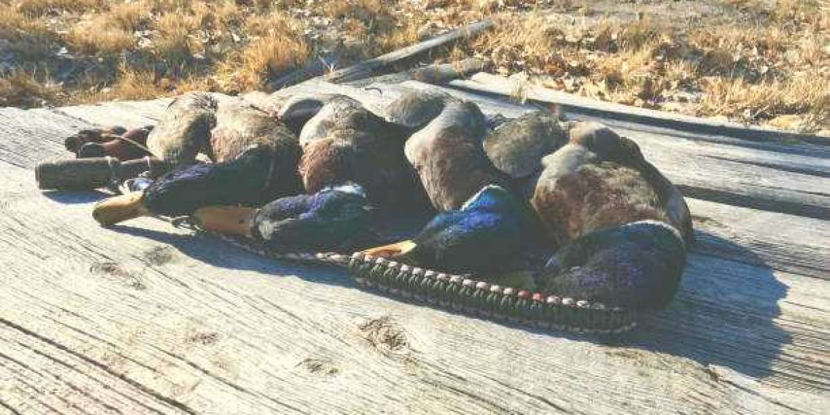 Birds and Bucks Outdoors Guided Hunts in Colorado Provide the Ultimate Goose Hunting Experience