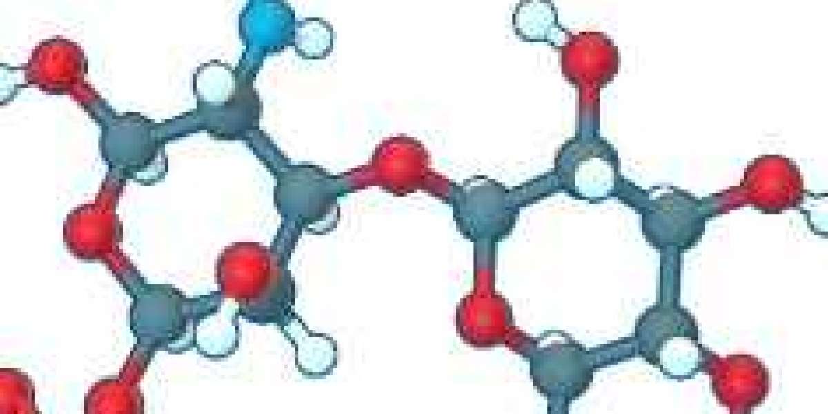 Chondroitin Sulfate Market Size, Share, Global Industry Analysis Report 2024