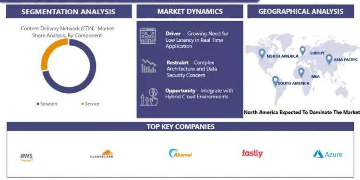 Exploring the Competitive Landscape of the Content Delivery Network Market