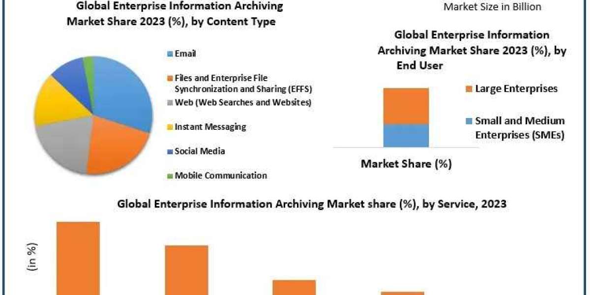 Enterprise Information Archiving Market Development Status, Top Manufacturers And Forecast 2030