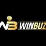 Winbuzz apk Profile Picture